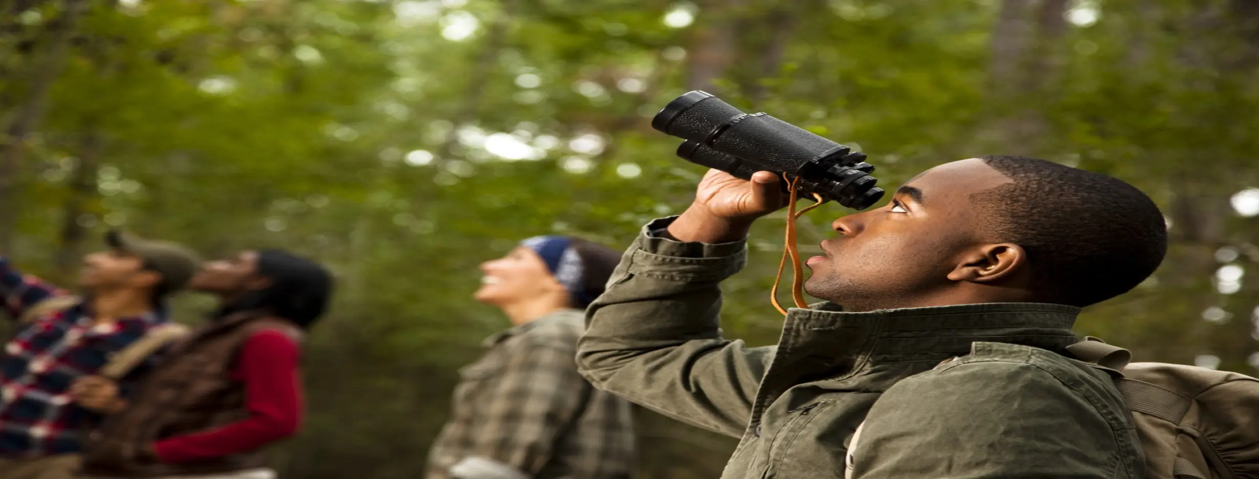 Image for Wildlife Watching